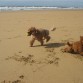 en la playita